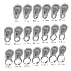 Meteorite And Titanium Ear Gauges, Metal Plugs Sizes 00g And Larger -Johan Jewelry Shop 00g 39.7mmv3 97e97489 b6f5 4a85 81ee 4a26a091d6e9 1