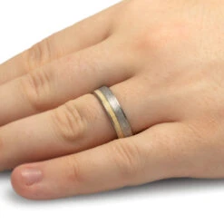 Aspen Wood Ring With Meteorite, Titanium Men's Wedding Band -Johan Jewelry Shop 2417Handshot