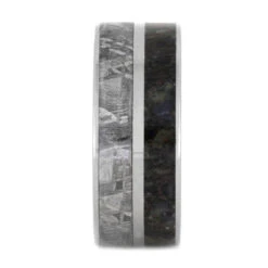 Meteorite Ring, Dinosaur Bone Wedding Band With Whiskey Barrel Sleeve -Johan Jewelry Shop 34262flsd