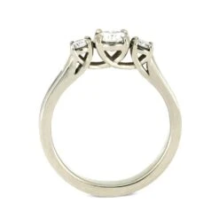 Three Stone Engagement Ring With Wood Inlay 14 Three Stone Engagement Ring With Wood Inlay -Johan Jewelry Shop 3d83d8b15666dc1312dd5af0c213c224