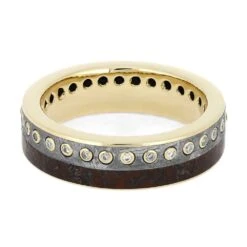 Moissanite Eternity Band With Meteorite & Dinosaur Bone -Johan Jewelry Shop 4755 3E