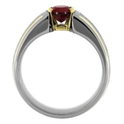 Modern Engagement Ring With Meteorite, Ruby, And Gold Pinstripes -Johan Jewelry Shop 5207 3E