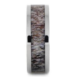 Titanium & Deer Antler Ring -Johan Jewelry Shop Antler Titanium 8 mm 2