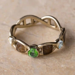 Double Helix DNA Ring With Meteorite And Dinosaur Bone