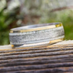 Antler & Meteorite Men's Wedding Band With Gold