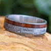 Meteorite & Wood Ring With Matte Finish 1 Meteorite & Wood Ring With Matte Finish -Johan Jewelry Shop E2216ArtMayCropped 1