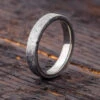 Thin Gibeon Meteorite Ring, 4mm Overlay -Johan Jewelry Shop E2445ArtCropped 1