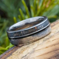 Meteorite And Dino Bone Ring With Black Pinstripe