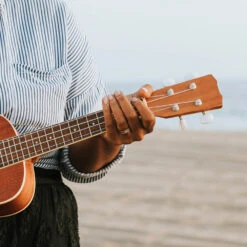 Guitar String Ring, Rowan Wood Wedding Band Made With Titanium -Johan Jewelry Shop E2655GuitarStringCropped