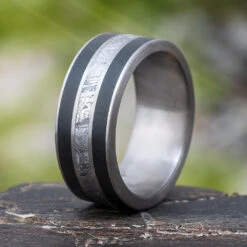 Black Jade Ring With Gibeon Meteorite In Titanium Band