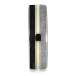 Dinosaur Bone & Meteorite Ring With Gold Pinstripe 11 Dinosaur Bone & Meteorite Ring With Gold Pinstripe -Johan Jewelry Shop E3517DinoYG 2