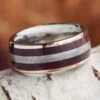 Petrified Wood & Meteorite Ring With Gold Pinstripes -Johan Jewelry Shop E3551ArtCropped 5