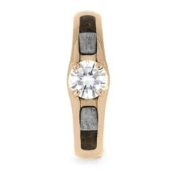 Fossil Engagement Ring With Meteorite In Rose Gold -Johan Jewelry Shop E3968RG06 2024 2