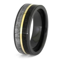 Black Ring With Meteorite, Fossil, And Yellow Gold Pinstripe 11 Black Ring With Meteorite, Fossil, And Yellow Gold Pinstripe -Johan Jewelry Shop E4077BC VP DBYG14MT 3