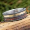 Dinosaur Bone Men's Wedding Band With Gold Stripe -Johan Jewelry Shop E5106YGArtCropped 2