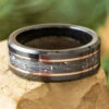 Cremation Memorial Ring With Gold Pinstripes -Johan Jewelry Shop E5143ArtCropped 2 f56b492b 08f4 4acd 9c3f a8364855aca8