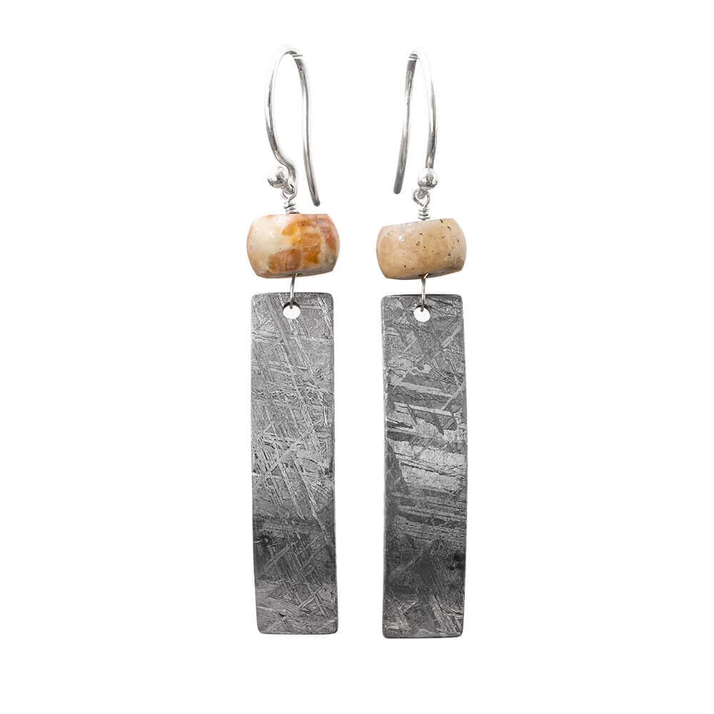 Fossil And Gibeon Meteorite Dangle Earrings 4 Fossil And Gibeon Meteorite Dangle Earrings - Image 2
