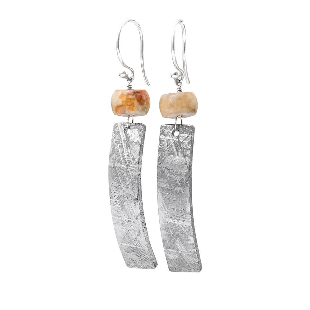 Fossil And Gibeon Meteorite Dangle Earrings 5 Fossil And Gibeon Meteorite Dangle Earrings - Image 3
