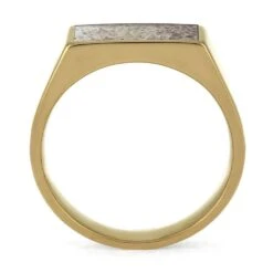 Men's Signet Ring With Naturally-Shed Antler -Johan Jewelry Shop E5339YGAntler 4