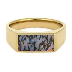 Fossil Signet Ring With Dinosaur Bone -Johan Jewelry Shop E5339YGDino 5