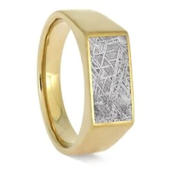Gibeon Meteorite Signet Ring In 14k Yellow Gold 9 Gibeon Meteorite Signet Ring In 14k Yellow Gold -Johan Jewelry Shop E5339YGMeteorite 1