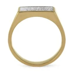 Gibeon Meteorite Signet Ring In 14k Yellow Gold 11 Gibeon Meteorite Signet Ring In 14k Yellow Gold -Johan Jewelry Shop E5339YGMeteorite 4