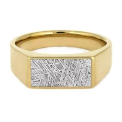 Gibeon Meteorite Signet Ring In 14k Yellow Gold 12 Gibeon Meteorite Signet Ring In 14k Yellow Gold -Johan Jewelry Shop E5339YGMeteorite 5