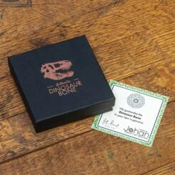 Penton Dinosaur Bone & Lava Bead Bracelet 19 Penton Dinosaur Bone & Lava Bead Bracelet -Johan Jewelry Shop EDinoBraceletPackaging11 2021Cropped 11 12