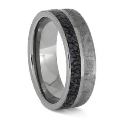 Premium Dinosaur Bone Paired With Meteorite In Titanium 20 Premium Dinosaur Bone Paired With Meteorite In Titanium -Johan Jewelry Shop ERS12263 1622 12