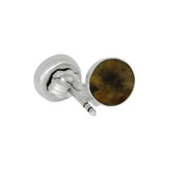 Petrified Wood Stud Earrings In Silver