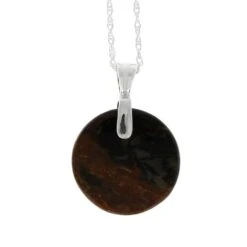 Petrified Wood Pendant With Silver Chain