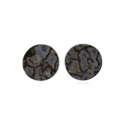 Blue Dinosaur Bone Stud Earrings In Silver