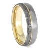 Mixed Metal Ring With Meteorite, Yellow Gold, And Titanium