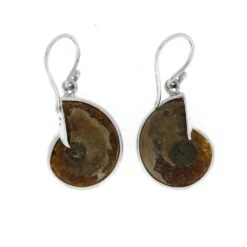 Abalone-Inlaid Ammonite Earrings Set In Sterling Silver -Johan Jewelry Shop ERSSB0166 2