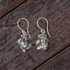 Campo Del Cielo Meteorite Dangle Earrings