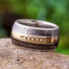 Men's Platinum Band With Meteorite, Dinosaur Bone, And Diamonds -Johan Jewelry Shop E 2487 Art Cropped 8