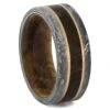 Meteorite Ring With Dinosaur Bone And Meteorite -Johan Jewelry Shop RS11818E