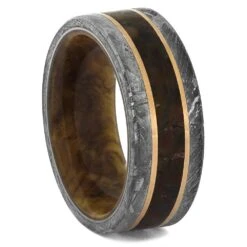Meteorite Ring With Dinosaur Bone And Meteorite