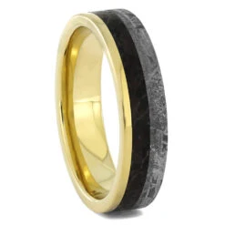Meteorite & Dinosaur Bone Wedding Band 6 Meteorite & Dinosaur Bone Wedding Band -Johan Jewelry Shop RS11888E f7ac5ad6 048e 4ef7 8205 979080e2a451