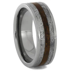 Gibeon Meteorite And Petrified Wood Men's Wedding Band