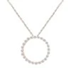 Diamond Circle Pendant Necklace -Johan Jewelry Shop SHPQ200214RG 1