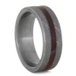 Petrified Wood And Meteorite Wedding Band