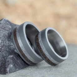Matching Titanium Rings With Meteorite And Dinosaur Bone